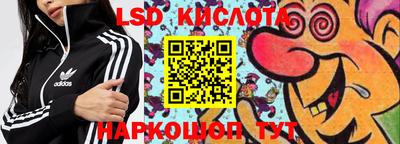 прущие грибы Красноармейск
