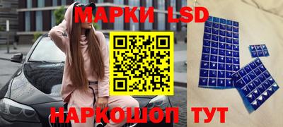 прущие грибы Котовск