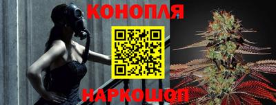 прущие грибы Красноармейск