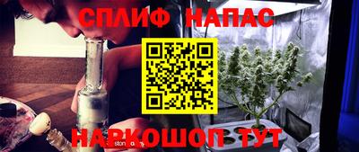 стафф Кузнецк